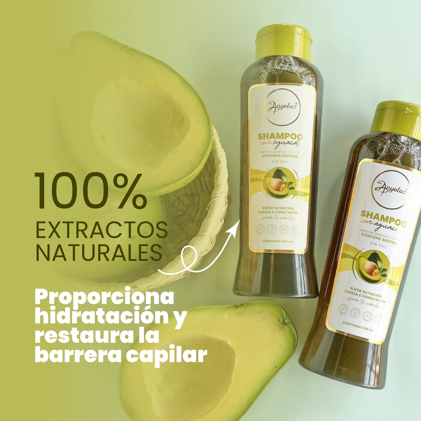 Shampoo con Aguacate Anyeluz 500ML