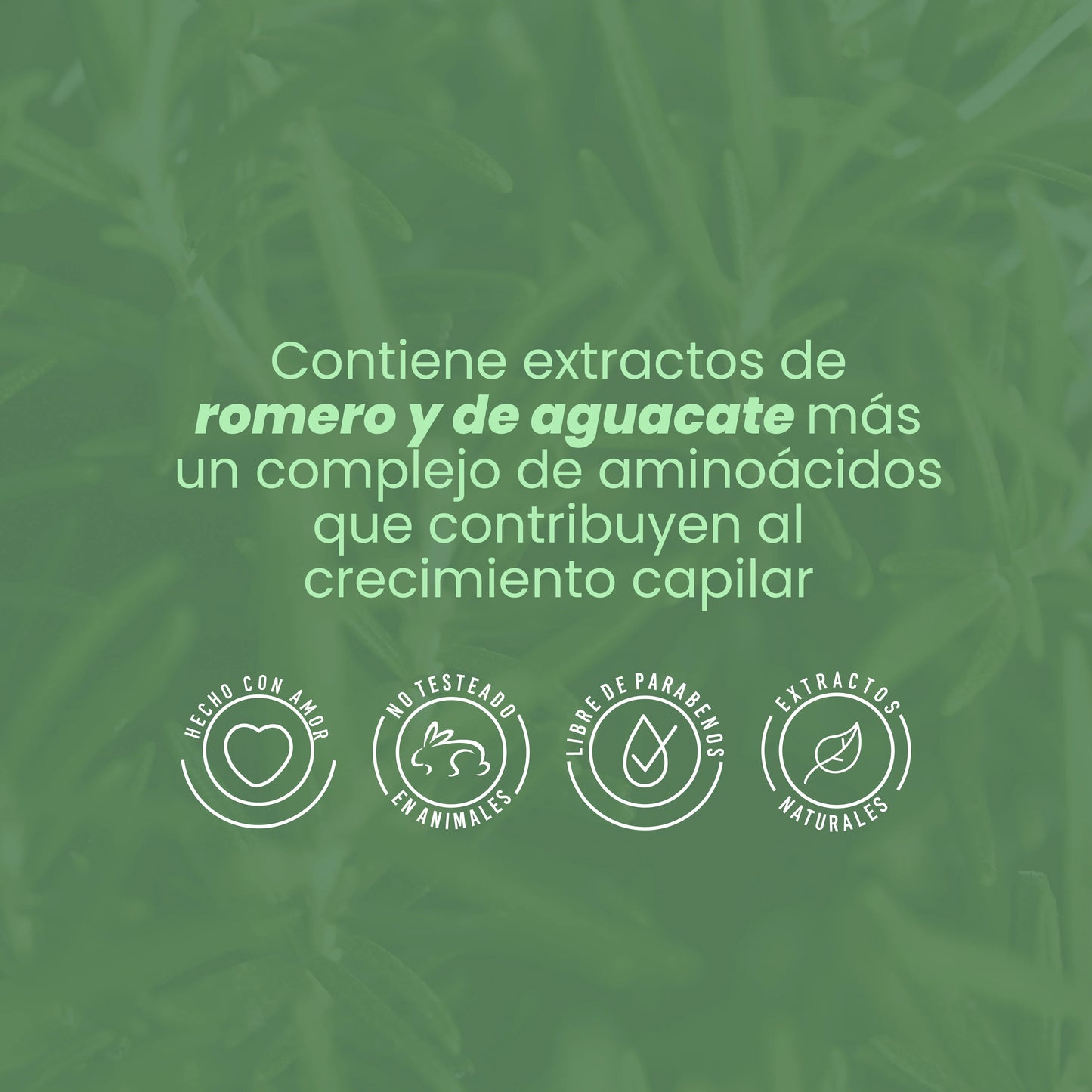 Bioterapia Capilar con Romero y Bioelixir X 300 ML ANYELUZ