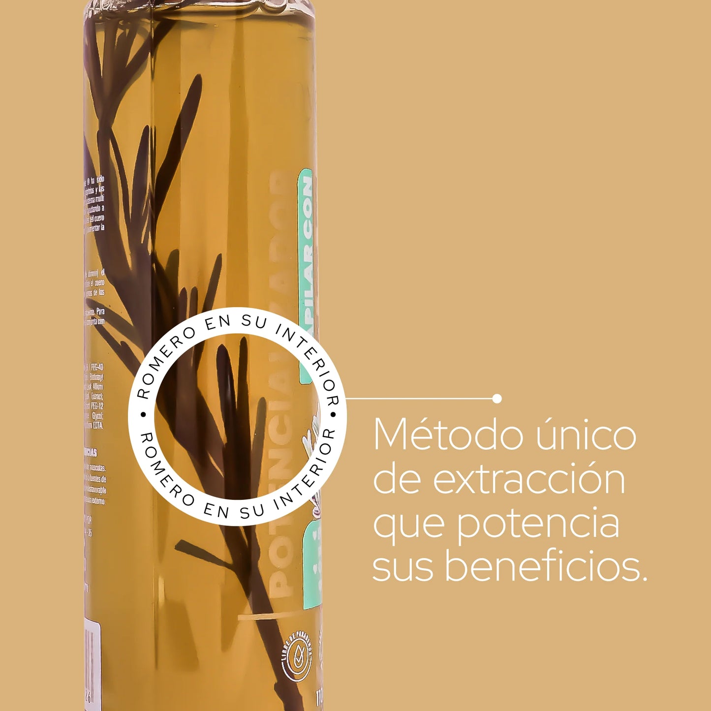 Potencializador de Romero X 110ML ANYELUZ