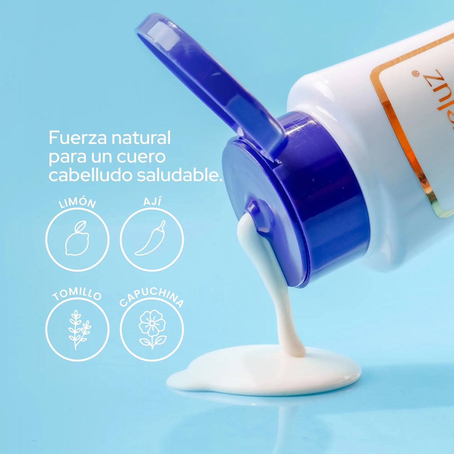 Shampoo Anticaspa ANYELUZ X 400ML