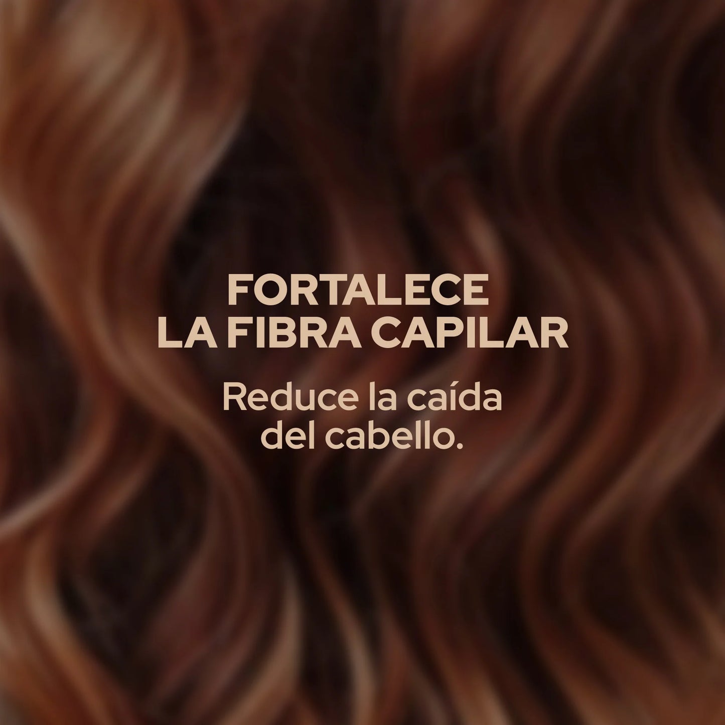 Shampoo con Romero ANYELUZ X 500ML